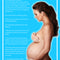 Back cover of Fertile by Sharny and Julius