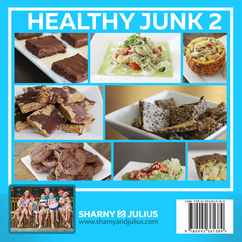 Healthy Junk 2 back view
